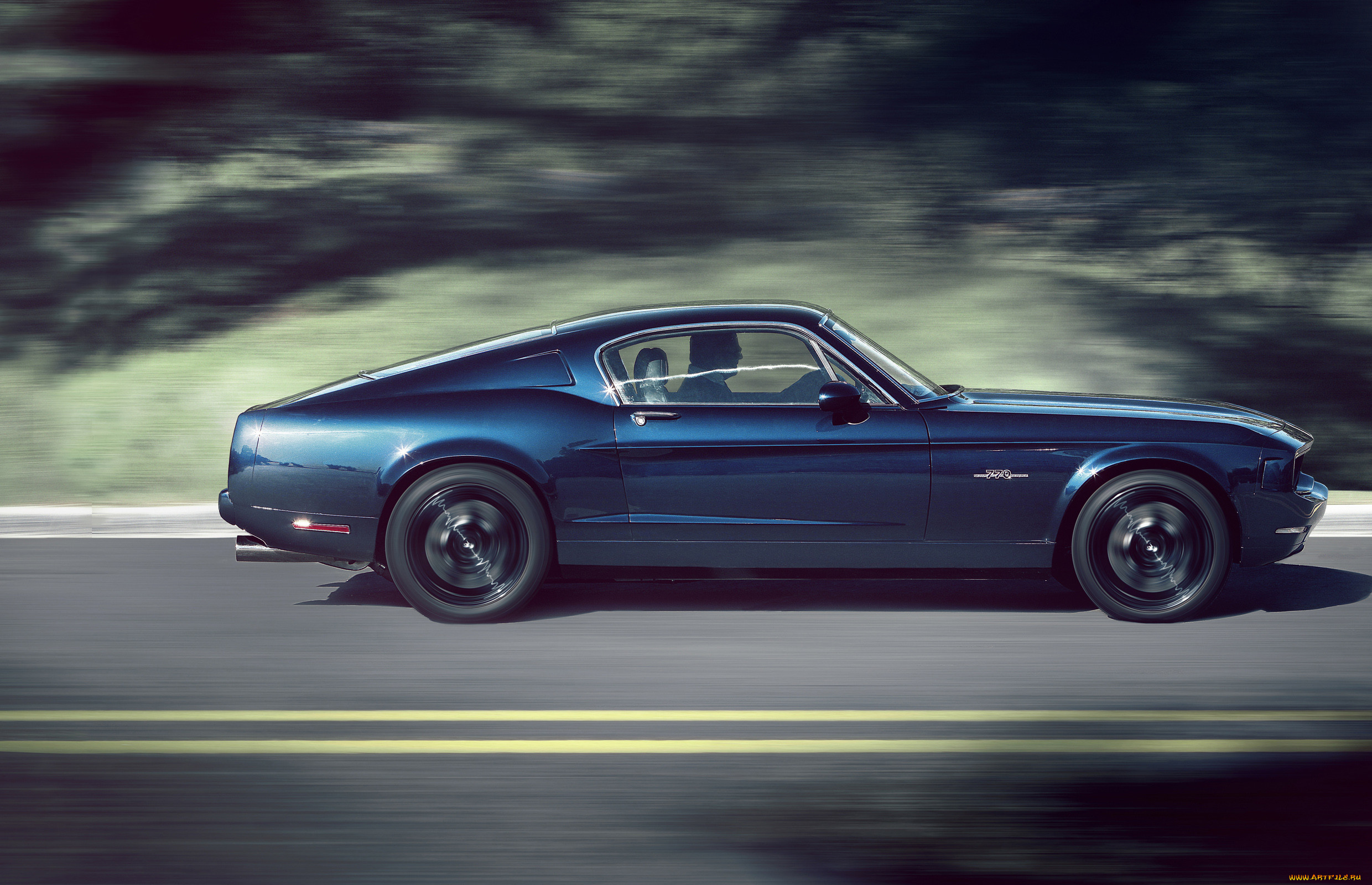 , mustang